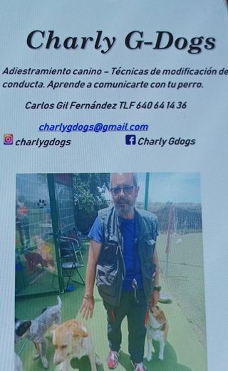 Adiestramiento canino.