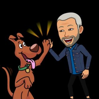 Adiestramiento canino.