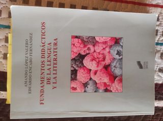 Fundamentos de la didáctica de lengua y literatura