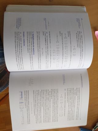 Temas de álgebra lineal para