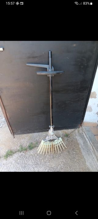 Raccoglitore di olive.