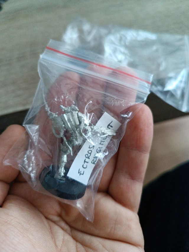 Ectros regiment Infinity