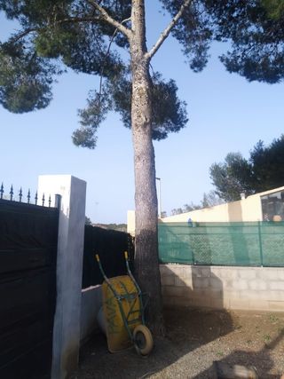 PODA Y TALA