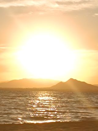 Apartamento en la manga