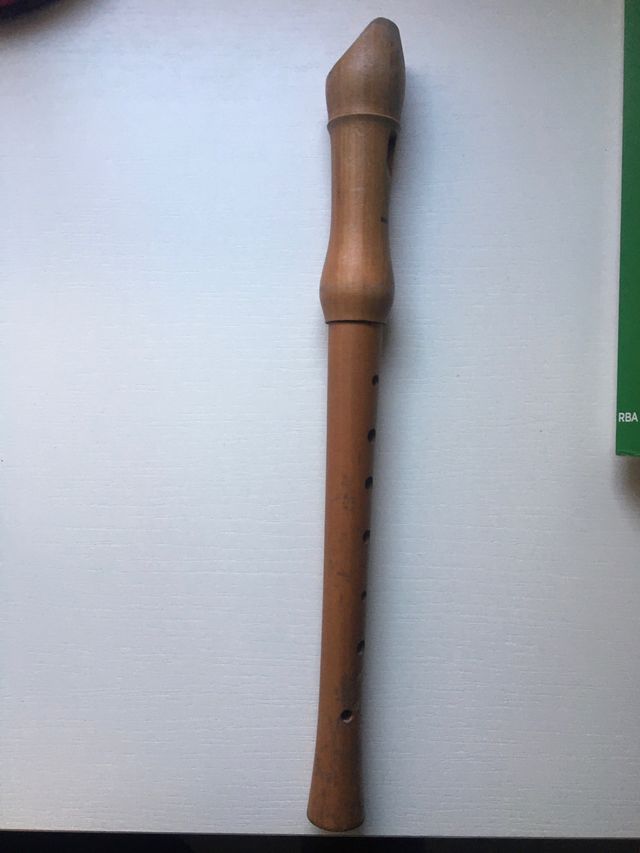 Flauta Hohner + Funda