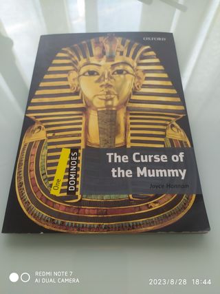 Libro lectura inglés.