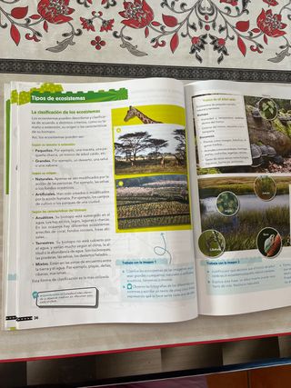 ciencias naturaleza Anaya.5 primaria.pieza a pieza