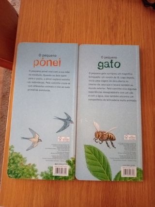 O meu pequeno pônei, gato