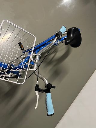 Bici ELECTRA Townie