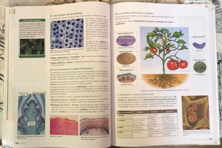 Libros 2 y 1 bachillerato
