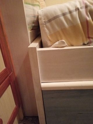 Literas ,Habitación juvenil, camas nido