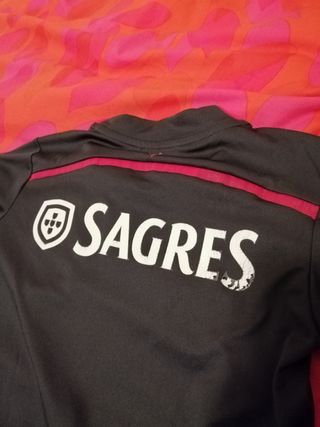 Camiseta Benfica Adidas