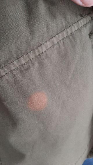 Parka 2 en 1, fina entrtiempo/ borreguito invierno