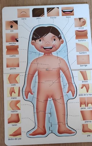 Puzzle del cuerpo humano de Educa