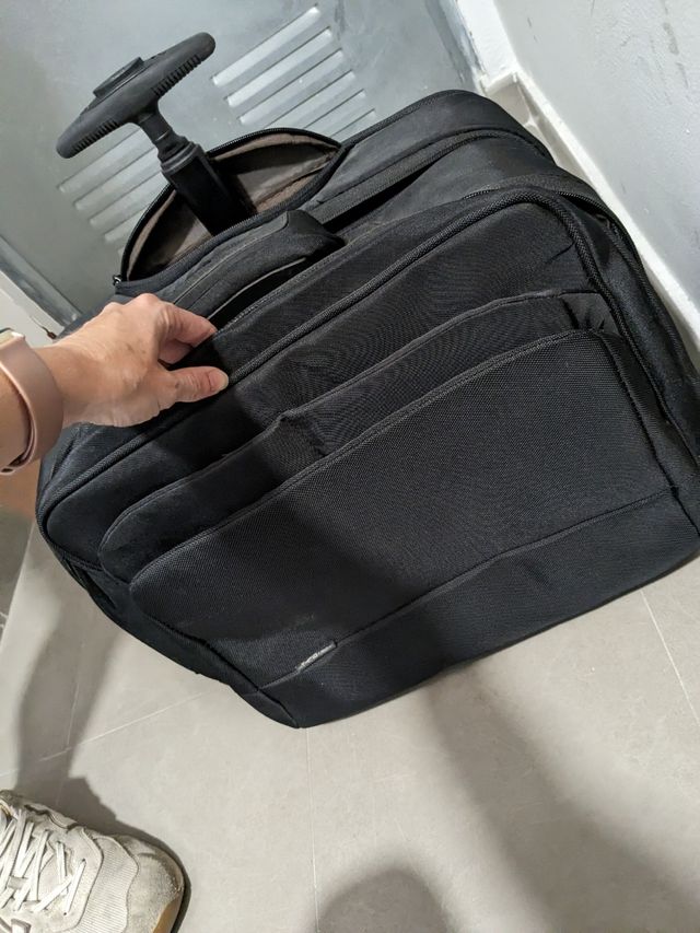 Carrito portátil equipaje de mano