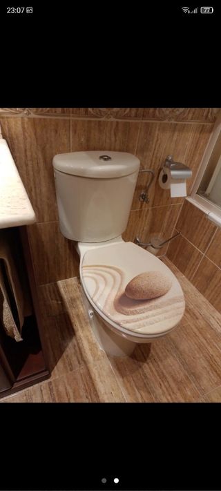 TAZA + TAPA WC INODORO JACOB DELAFON