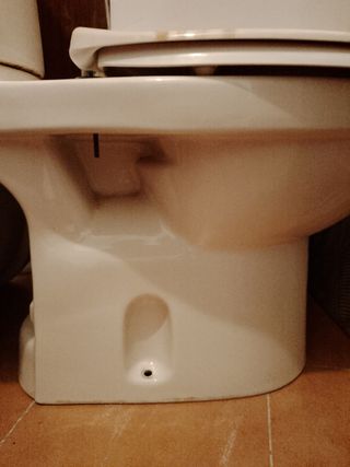 TAZA + TAPA WC INODORO JACOB DELAFON