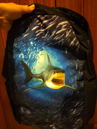 Mochila escolar