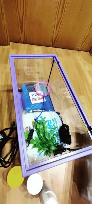 Pecera con accesorios para empezar