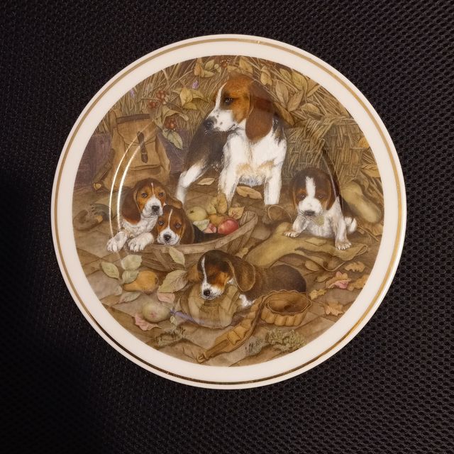 piatto decorativo da parete