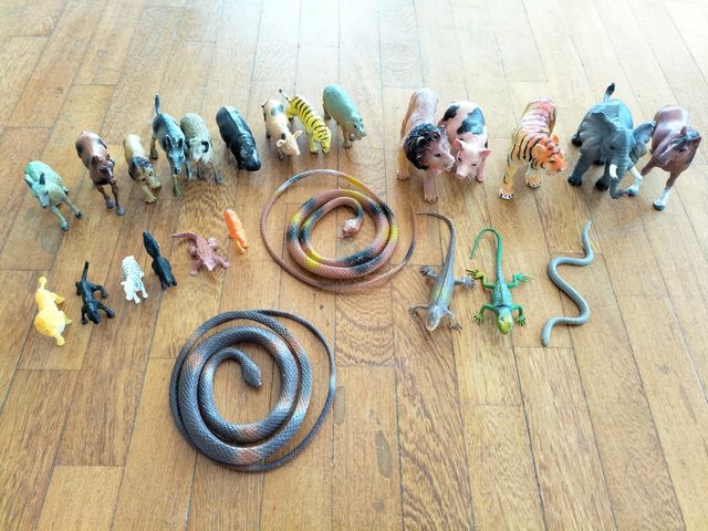 Animales para niños