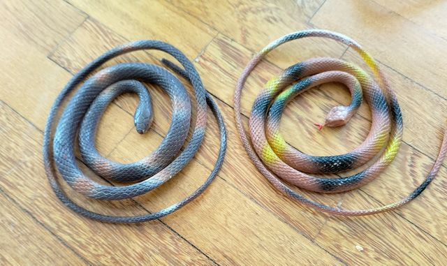 Animales para niños