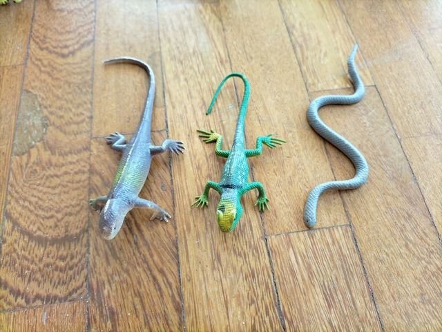 Animales para niños