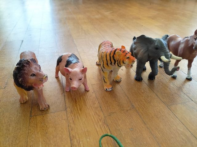 Animales para niños