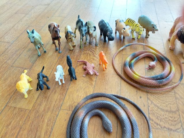 Animales para niños