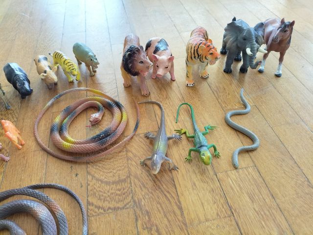 Animales para niños