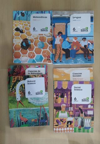 Libros 6° primaria SM
