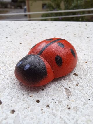 Coccinella portafortuna
