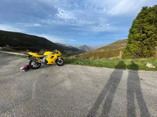 Triumph Daytona 955i