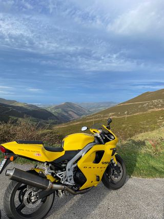 Triumph Daytona 955i