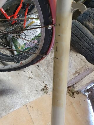 Bicicleta paseo Bianchi