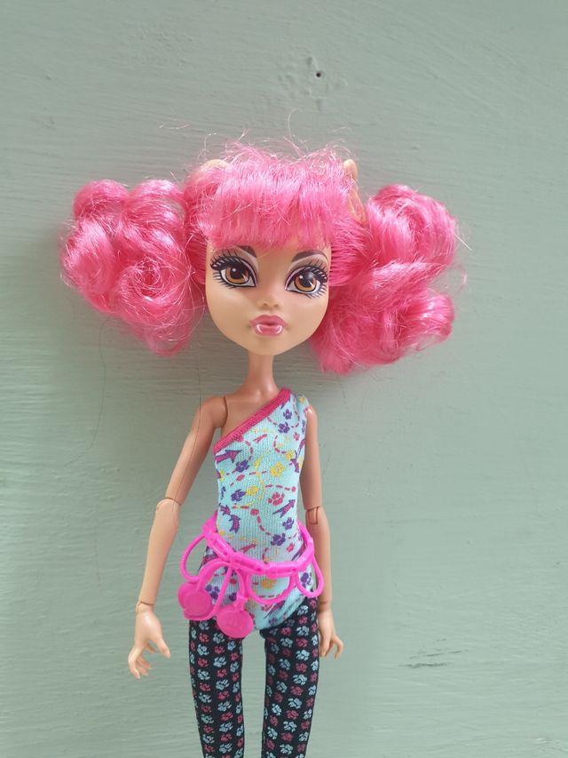 Monster High Doll Howleen Wolf