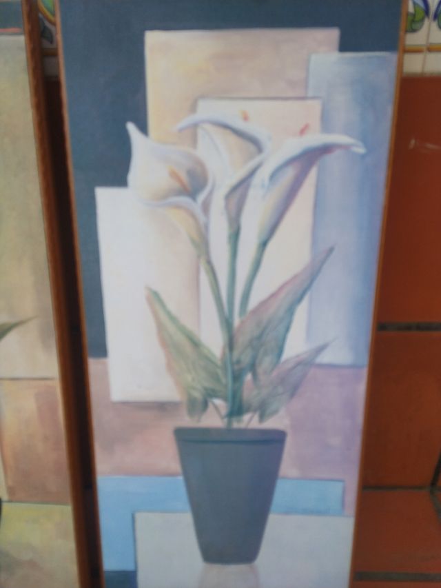 Cuadros Flores