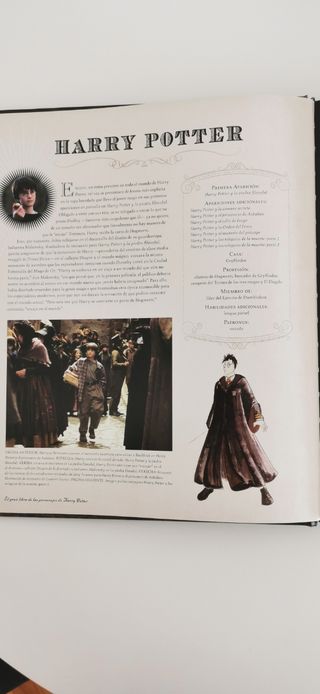 LIBRO HARRY POTTER