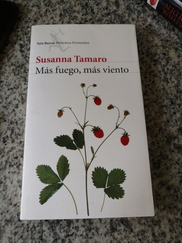 Más fuego, más viento