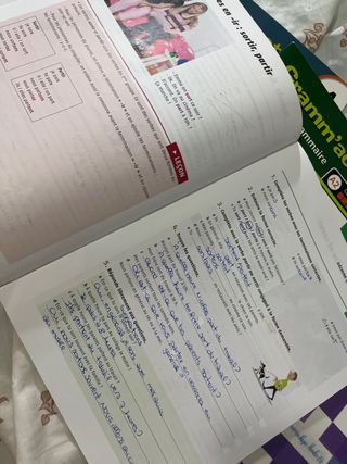 Cuadernillos francés ESO Experience Oxford Cahier