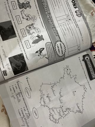 Cuadernillos francés ESO Experience Oxford Cahier