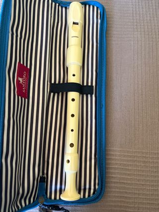 Flauta hohner y funda