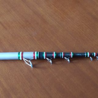 CAÑA DE PESCA ARTICO CASTIGO 5 METROS / 200 GR