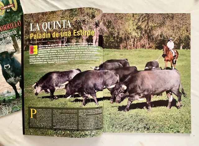 ESPECIALES GANADERÍAS 6 TOROS 6