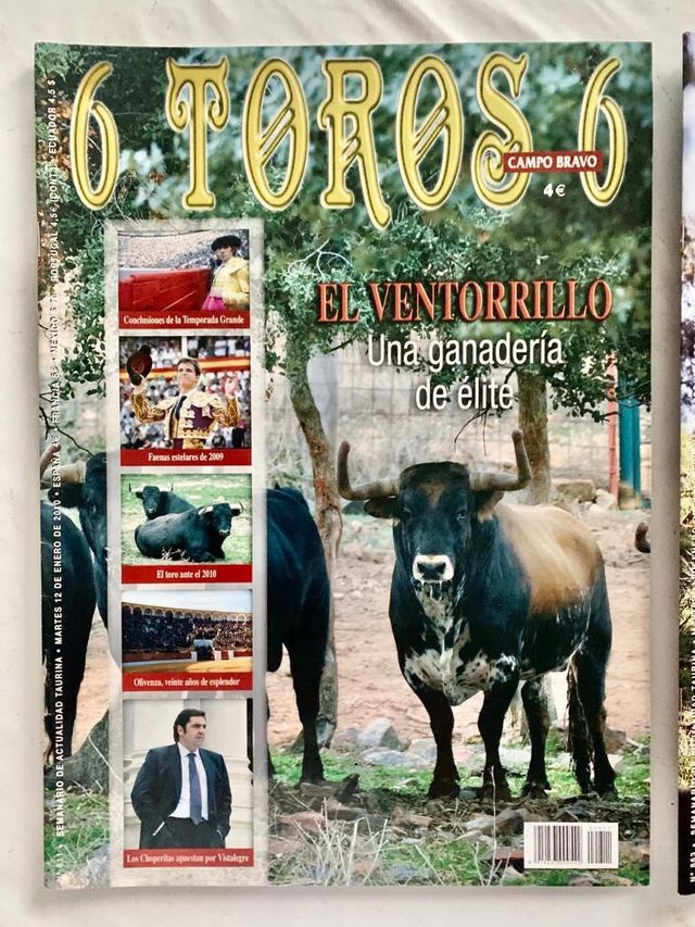 ESPECIALES GANADERÍAS 6 TOROS 6
