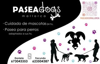 Cuidado de perros y gatos