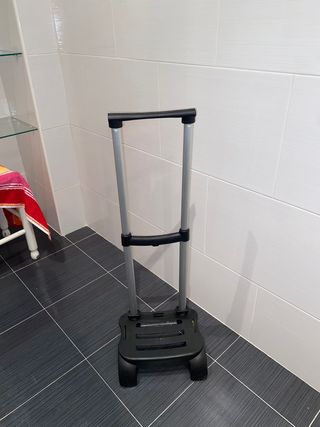 Carrito porta mochila, trolley escolar