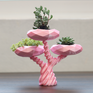 magic bonsai ,plantas ,decoración