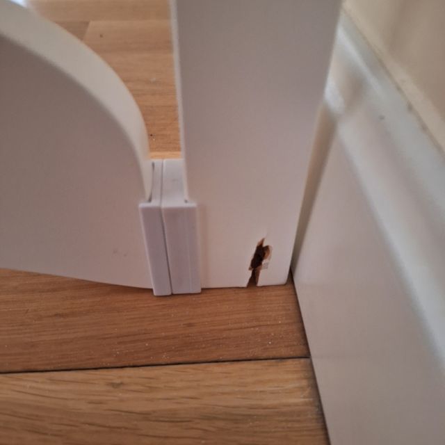 Super rebaja! Libero el sitio. Todo ppr 50eur Mini