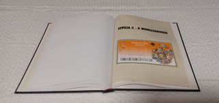 LOTE DE PRODUCTOS DEL SEVILLA F.C.